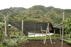 Origin Coffee Roasting Colombia Monteblanco Coffee Farm View