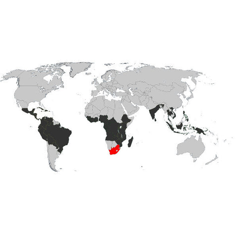 Single Origin Coffee Beans