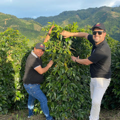 Rodrigo Sanchez & Jose Sabores at Finca Monteblanco, Colombia