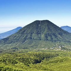 San Salvador, Finca Las Mercedes