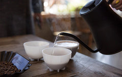 Barista Hustle plastic cupping bowls in use