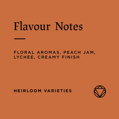 Flavour notes of Rosetta Roastery Benti Nenka Natural coffee beans