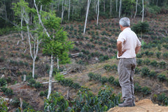 Origin Coffee Roasting Bolivia El Arcangel Coffee Farm New Plantings