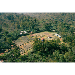 Burundi Kinama Hill Coffee Washing Station aerial view