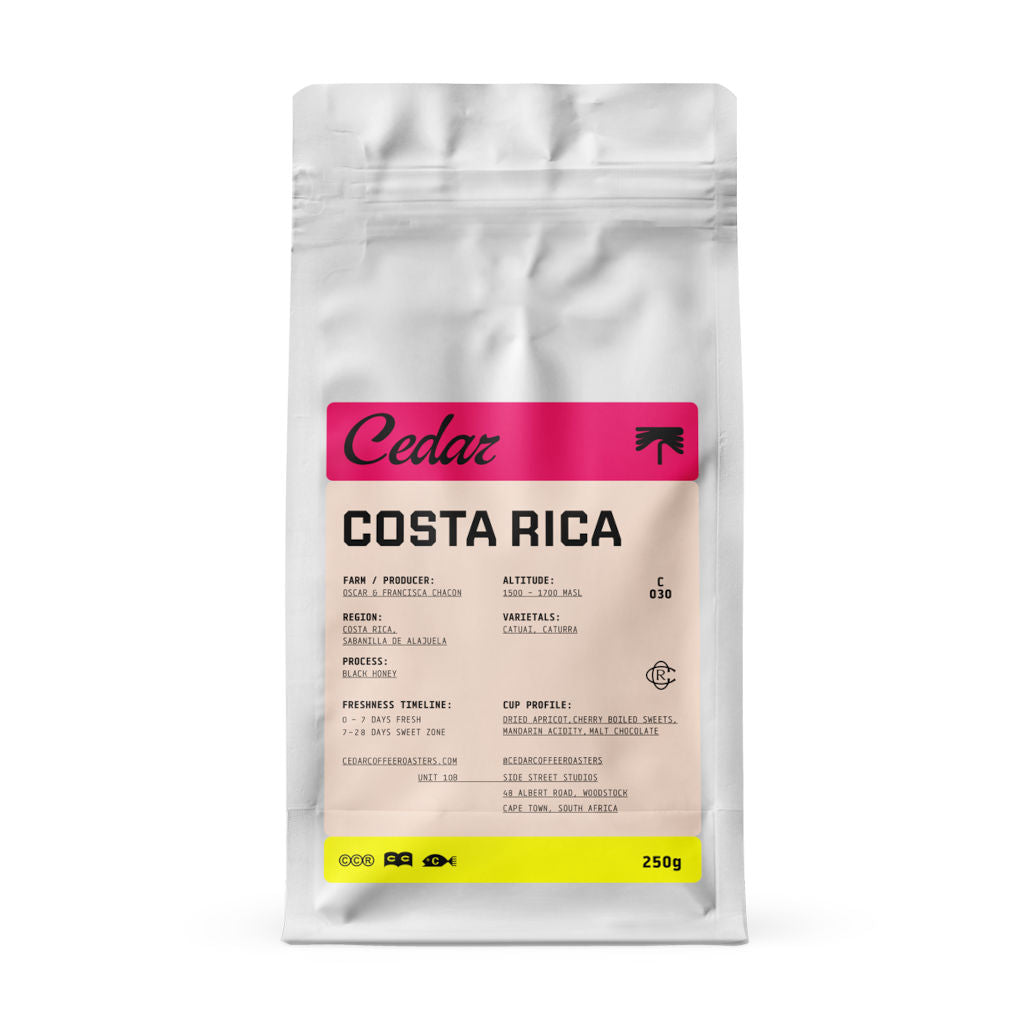 Cedar Coffee Roasters Costa Rica Las Lajas