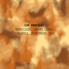 Flavour notes for Cedar Colombia Zarza Anaerobic Natural coffee