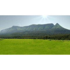 Mountains in Chikmagalur, India
