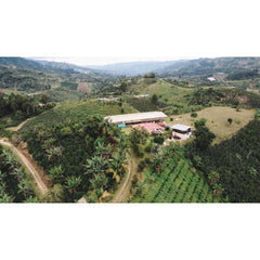 Finca Monteblanco, Colombia