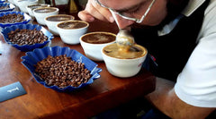 Origin Coffee Roasting El Salvador El Borbollon Coffee Cupping For Quality Control
