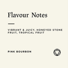 Flavour notes for Rosetta Roastery Colombia El Triángulo Reserve coffee beans