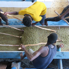 Ethiopia Yirgacheffe, Lalesa Coffee Washing Station