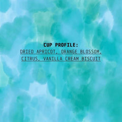 Flavour notes for Cedar Coffee Ethiopia Gesha Village E-26 Anaerobic Natural coffee beans
