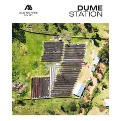 Alo Coffee Dume Washing Station