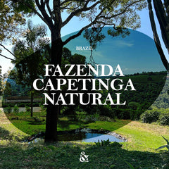 Brazil Fazenda Capetinga Natural graphic from And Sons