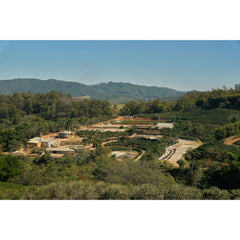 Brazil Fazenda Das Almas coffee processing estate