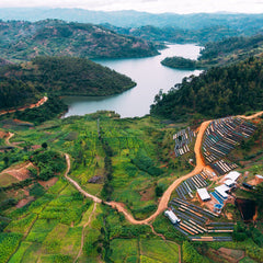 Rwanda Kilimbi Washing Station Muraho Trading Company