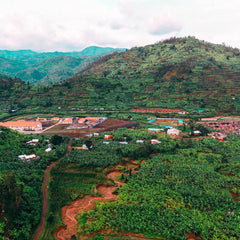 Muraho Trading Co Vunga Washing Station in Nyabihu, Rwanda
