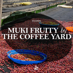 Flavour notes for Origin Coffee Roasting's Uganda Muki Fruity from And Sons