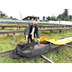 Mr Mureithi at Iria-Ini Farmers Cooperative