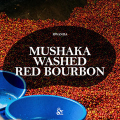 And Sons specialty coffee graphic for Rwanda Mushaka Washed Red Bourbon green beans
