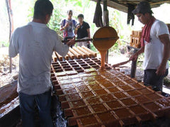 Origin Coffee Roasting Colombia Sugar Cane Decaf Coffee Processing