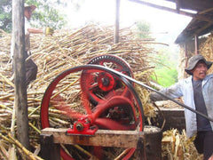 Origin Coffee Roasting Colombia Sugar Cane Decaf Coffee Process