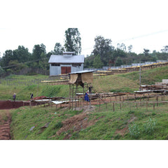 Origin Coffee Roasting Ethiopia Bensa Damo wide view of farm