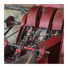 Mechanical depulper at Kamwangi Washing Station