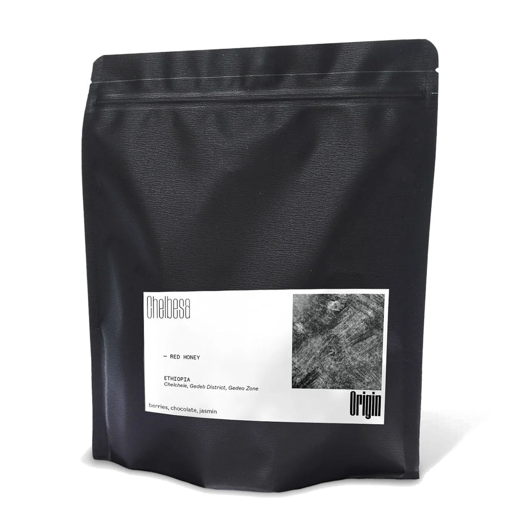250g bag of Origin Ethiopia Chelbesa Natural coffee beans