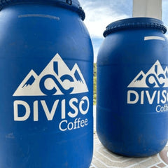 Colombia Finca El Diviso