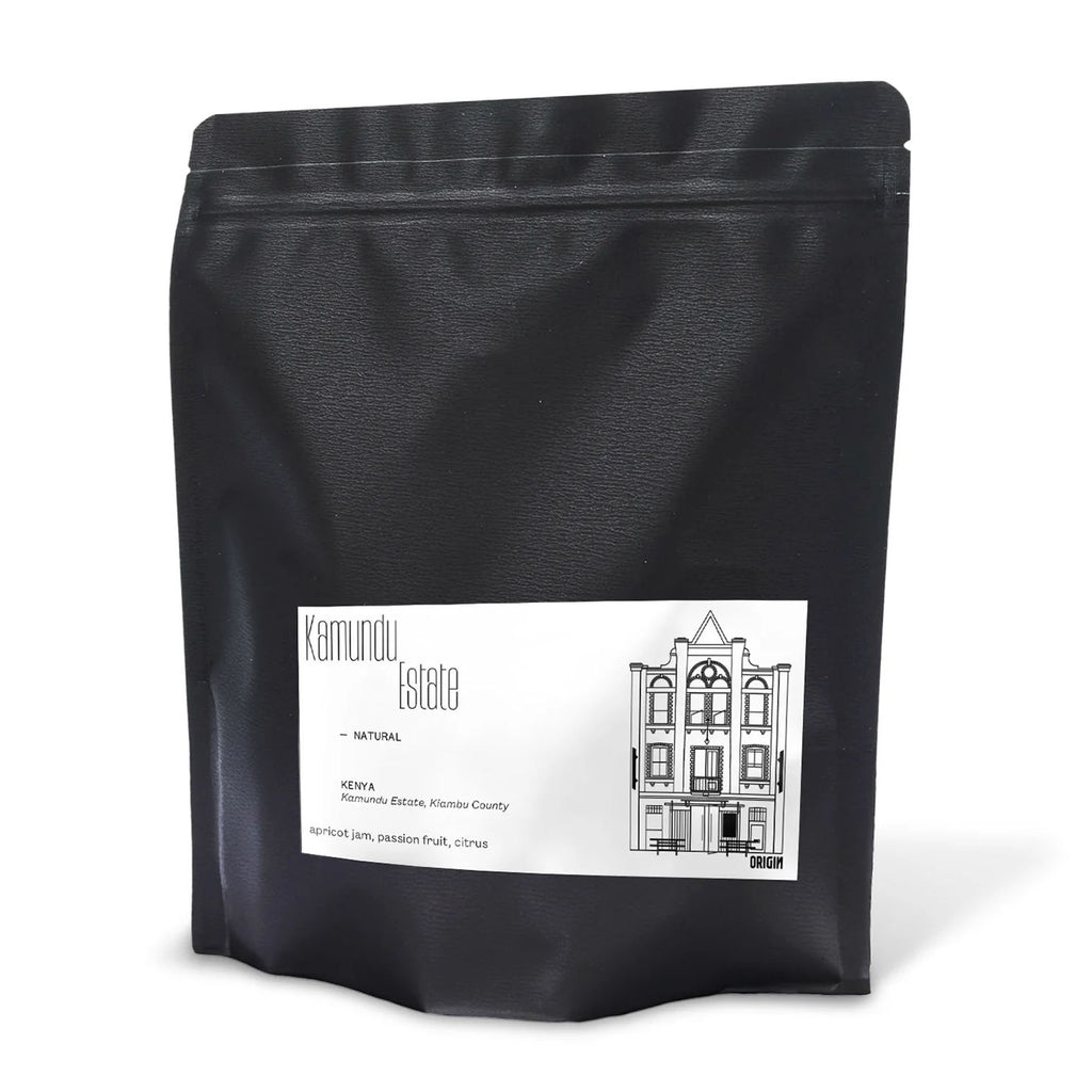 Bag of Origin Coffee Roasting Kenya Kamundu Estate Natural coffee beans