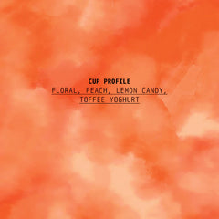 Cedar Panama Ruiz GeishaCoffee Cup Profile