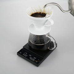 Pour Over Coffee Brew with Hario Polaris Scale