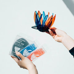 Hario V60 Suiren Dripper set with extra blue and orange ribs