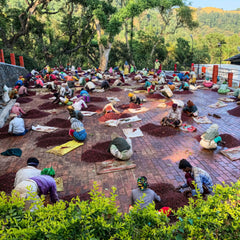 Ratnagiri Estate, India