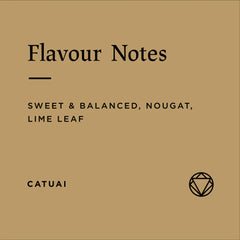 Flavour notes for Caballero Collective coffee roasted by Rosetta