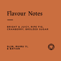 Flavour notes of single origin Kenyan Gakundu AA coffee beans roasted by Rosetta