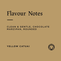 Flavour notes for Rosetta Sítio Vargem Grande Natural Lot #2