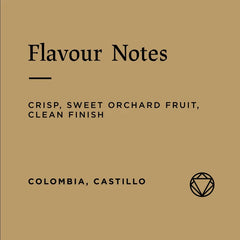 Flavour notes for Rosetta Roastery Colombia Santa Isabel Washed coffee beans
