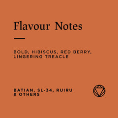 Flavour notes for Rosetta Kenya Kabingara AB Washed coffee