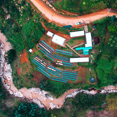 Muraho Trading Company's Shyira Washing Station in North Western Rwanda