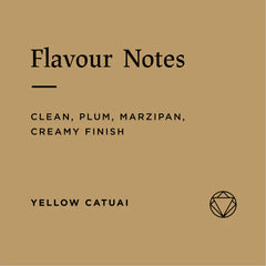 Flavour notes for Rosetta Roastery Sitio Vargem Grande Natural 2025 coffee beans