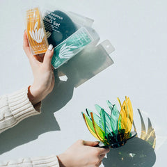 Hario V60 Suiren Dripper set with extra yellow and green ribs