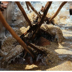 Fermenting coffee being stirred in tanks