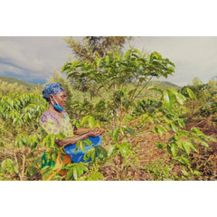 Rwandan coffee producer