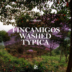 And Sons graphic for Fincamigos washed typica beans