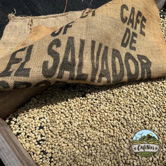 Cafenor mill, El Salvador