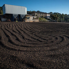 Cedar Brazil Fazenda Santa Cruz drying beds