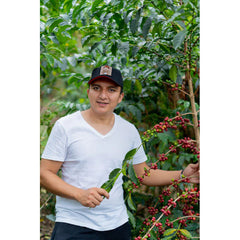 Cedar Colombia El Diviso Aji Anaerobic Natural farmer with tree