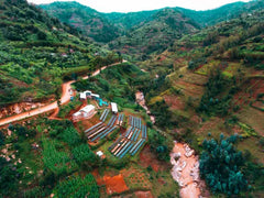 Cedar Rwanda Shyira Washing Station overhead shot in mountains